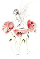 Poppy